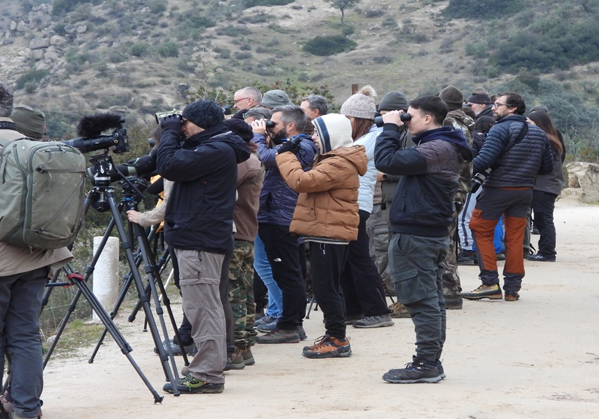 Salida voluntaria (IV): Linces, nutrias y bisontes en Andújar